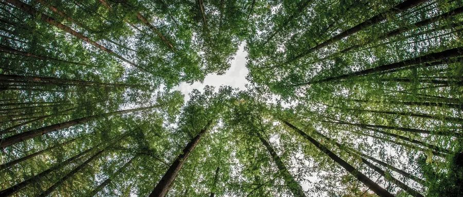 南宫NG28(中国集团)有限公司官网